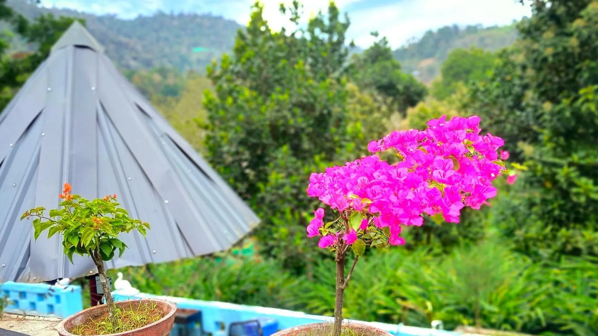 Mistey Valley Munnar Villa Anachal