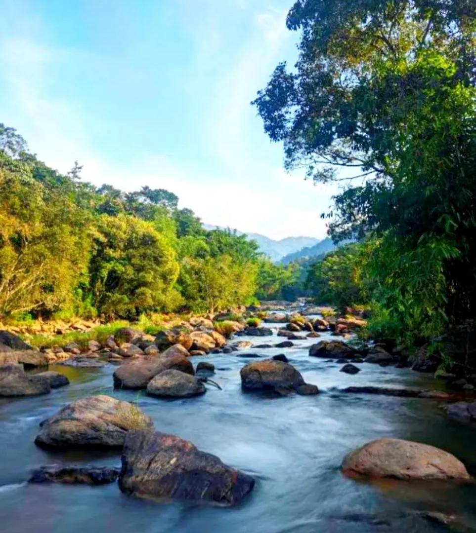 Anachal Mistey Valley Munnar Villa מלון